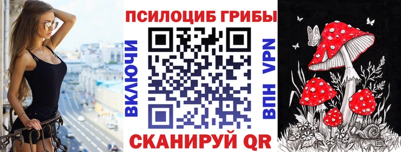 что такое   Лакинск  Галлюциногенные грибы Psilocybe 